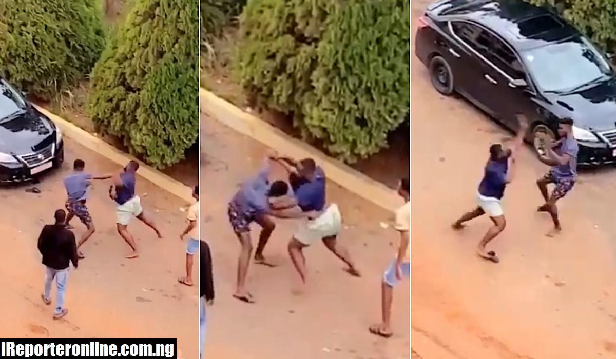 fight