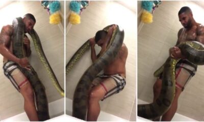Slay queen leaks video of her sponsor bathing with huge snake