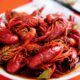 crayfish