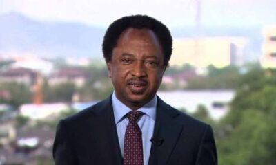 Senator Shehu Sani