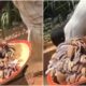 Coconut Seller Caught Using Gutter Water To Wash