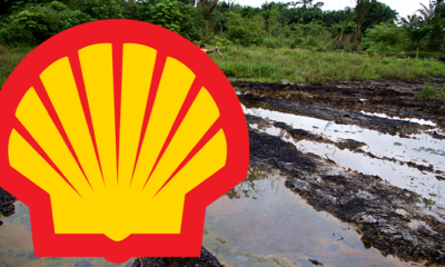 Shell and Oil