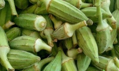 okra