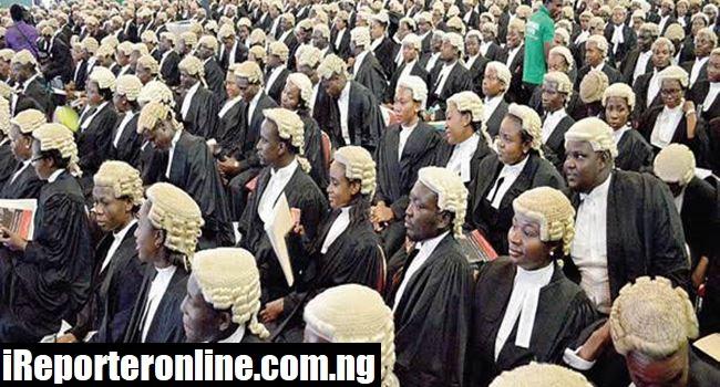 Fresh nigerian Lawyers