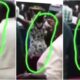 Lady with huge backside dances in rousing way in church during praise
