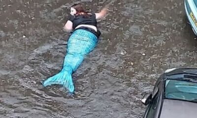 mermaid