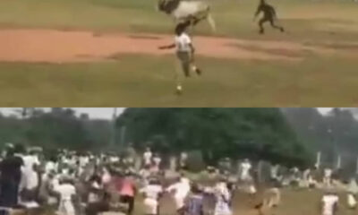 nysc camp