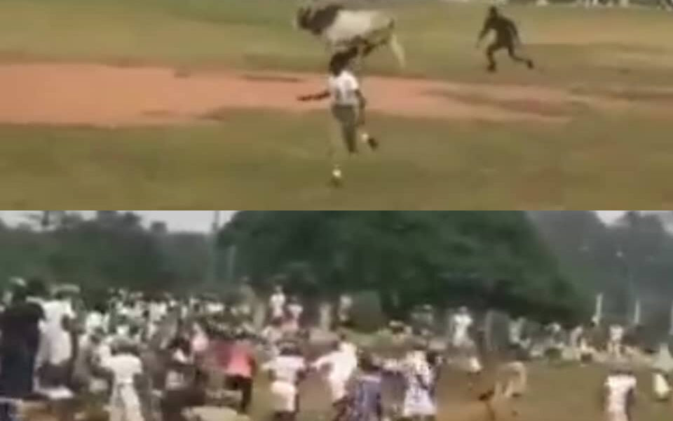 nysc camp