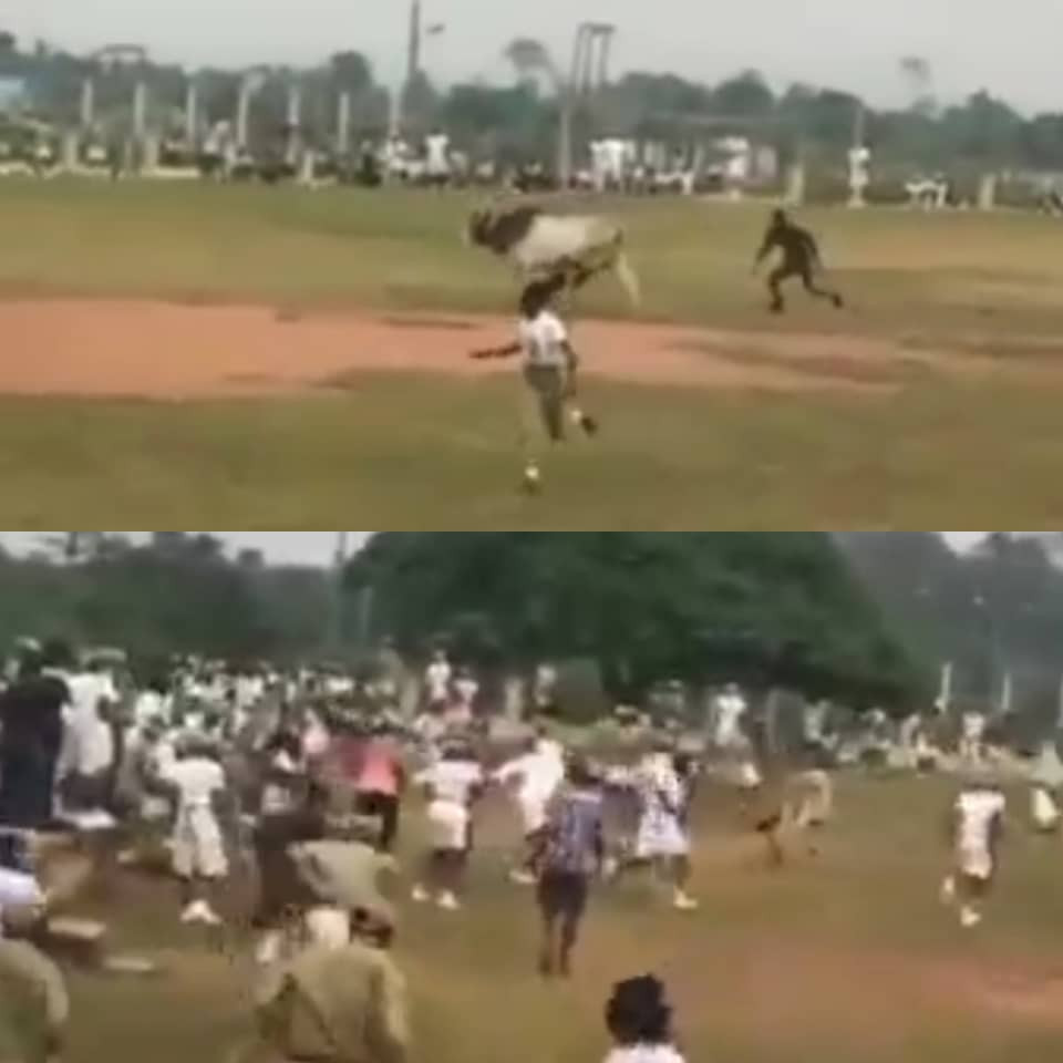 nysc camp