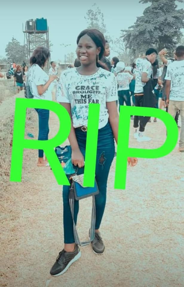 fresh graduate