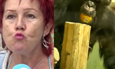 woman and monkey