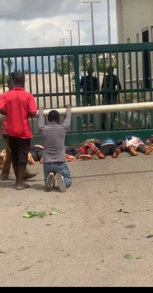 plateau victims 