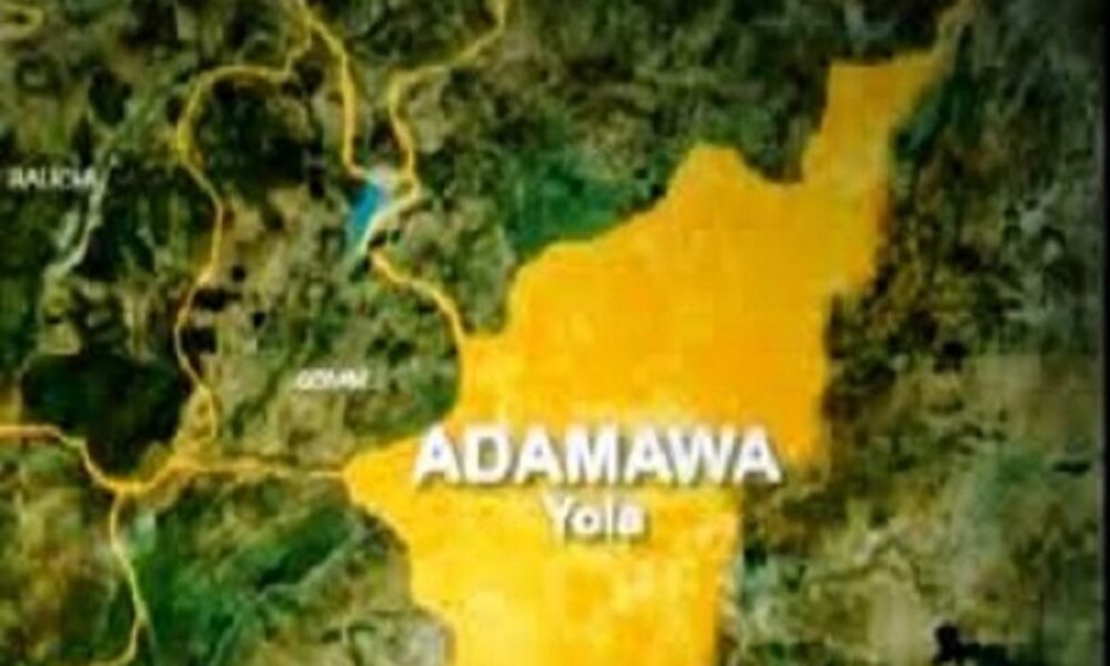 adamawa