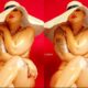 sex worker