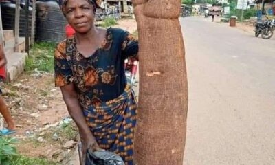 cassava