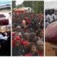 coffin shaped like a penn!s