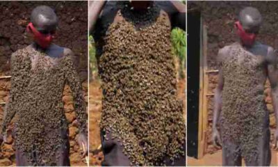 bee man