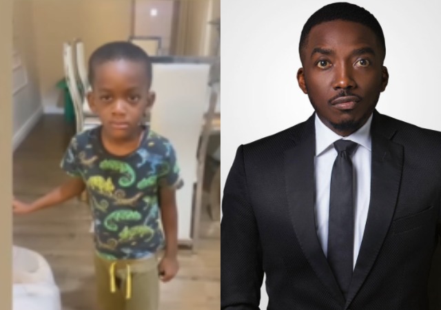 bovi