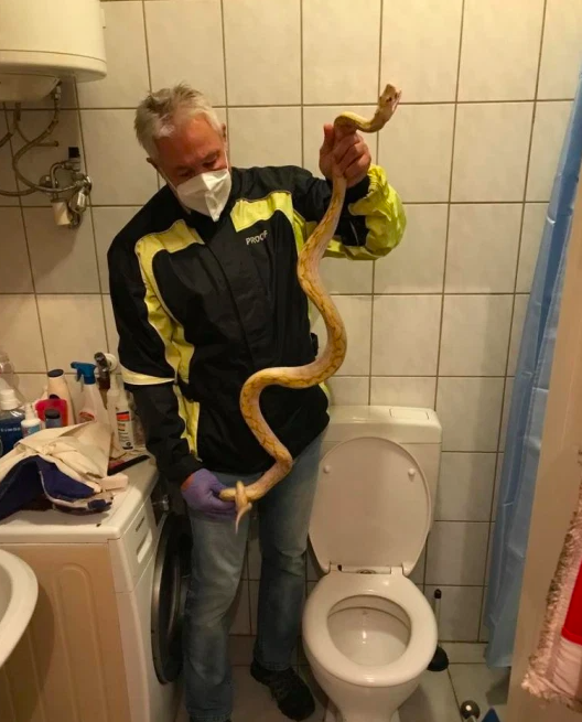 python