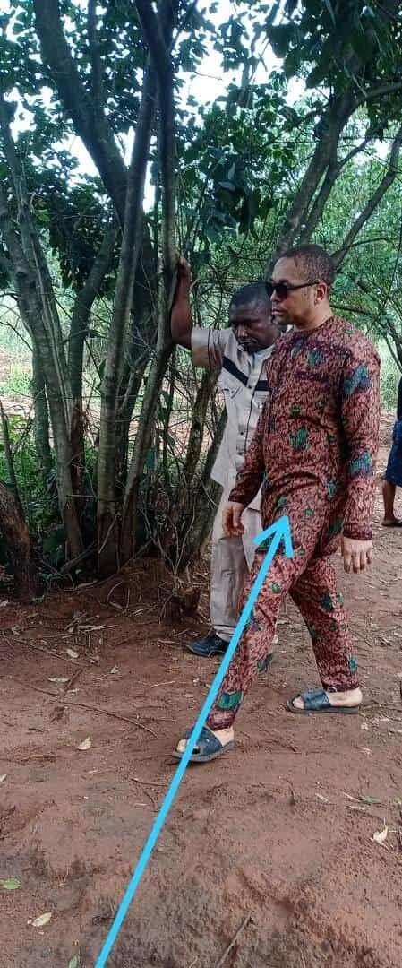 KRuk9kpTURBXy85NDVmMjNiYjVkOGZlYTk4NTNlNjJiZDdkMWIwNjY4YS5qcGeRlQLNAcHNBDjCw4GhMAU