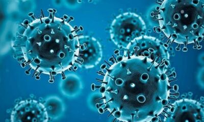 coronavirus 2