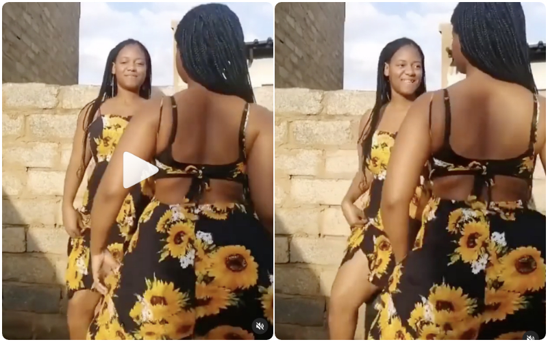 twins shaking duna