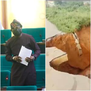 272864299 10159082672142946 9141904680387886815 n