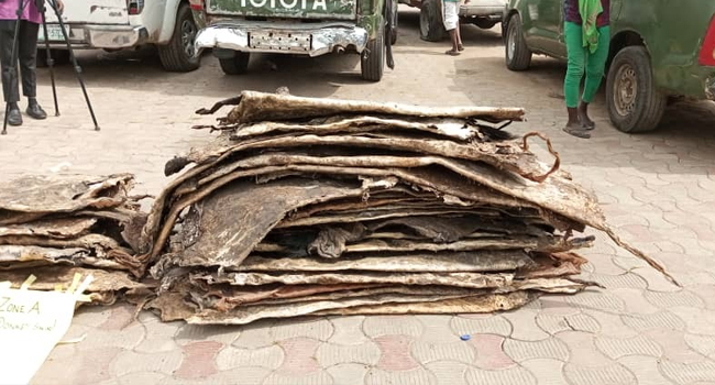Customs Intercept Donkey Skin Packed In Lagos Warehouse