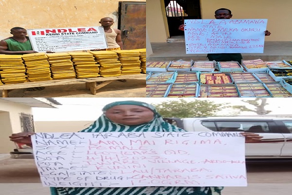 NDLEA Arrests Notorious Female Cross Border Drug Trafficker
