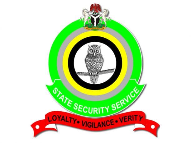 DSS LOGO