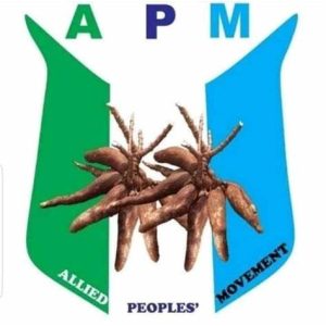 FG’s Approach Can’t End Insecurity, Says APM Chair 58 OIP 66