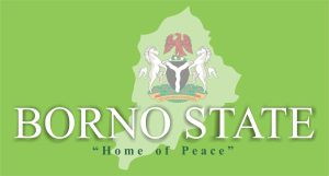 Borno Police Arrest Woman With Three Abducted Children 58 R 98