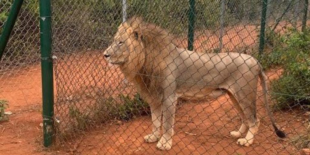 accra zoo e1661716938140