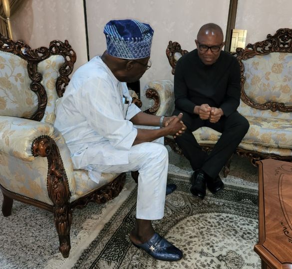 309054416 8908312495860434 6838481782227170112 n