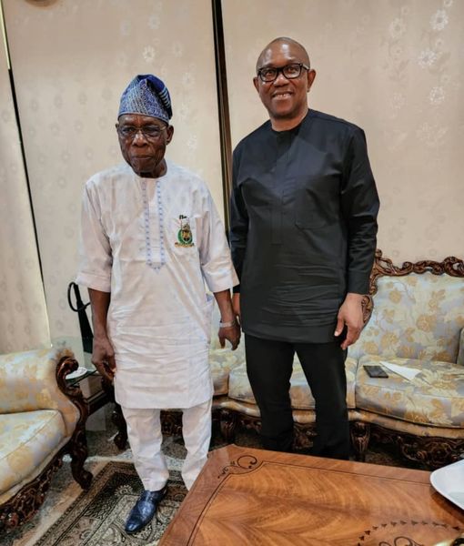 309500207 8908312315860452 4221418739189885110 n