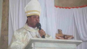 Catholic Bishops Task Cardinal Okpaleke On His New Status 58 Peter Okpaleke