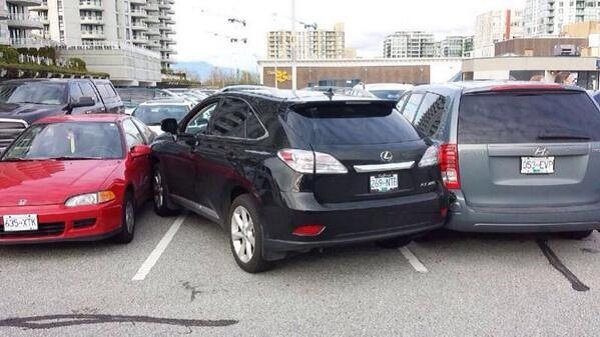 fgjd