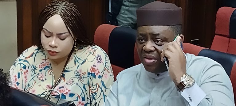 Femi Fani Kayode and Ms Precious Chikwendu