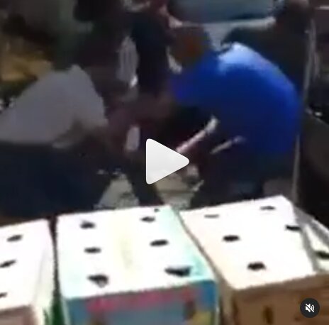 Suspected Nigerian Drug Dealer Resists Arrest In Sunnyside, South Africa (VIDEO)