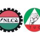 nlc tuc 1.jpg