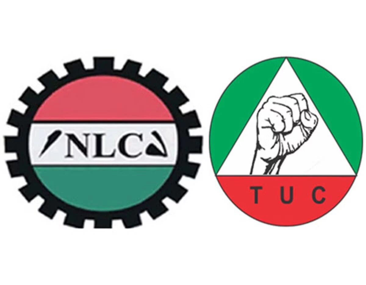 nlc tuc 1.jpg