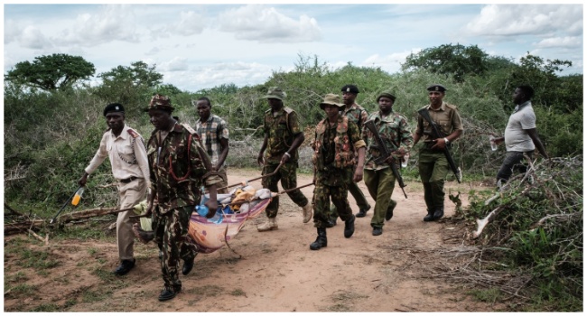 Collage Maker 17 Jul 2023 09 28 PM 7791