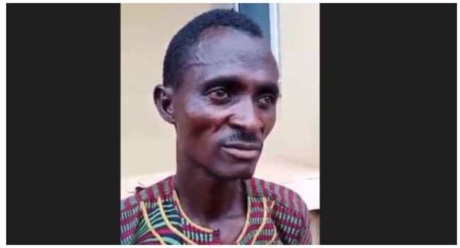 Collage Maker 14 Aug 2023 11 24 AM 1097