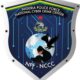 Nigeria police force National Cyber crime centre