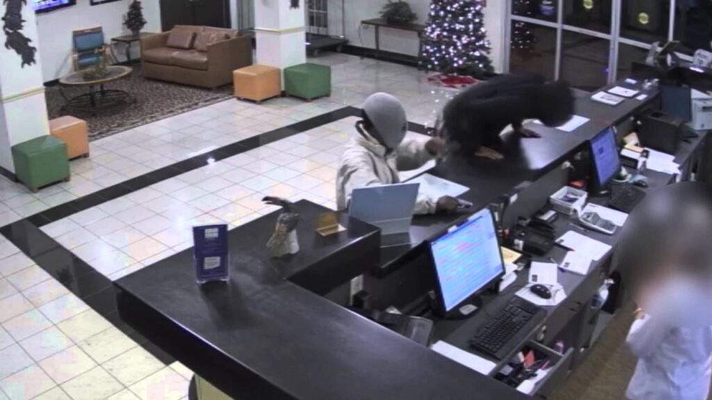 robbery