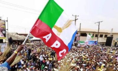 APC flag logo
