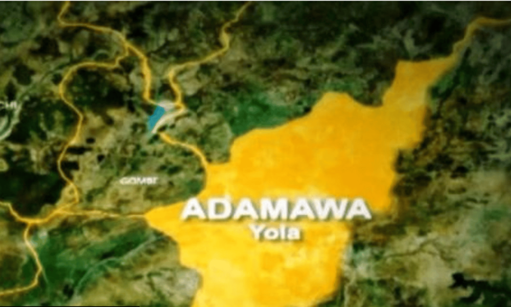 Adamawa 1