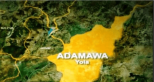 Adamawa