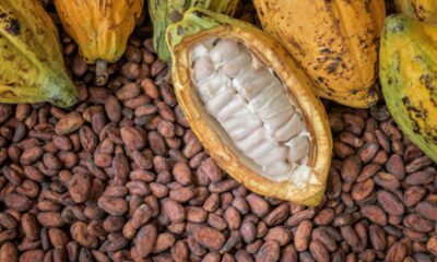 Cocoa