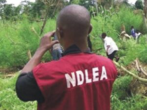 NDLEA Arrest Police officers